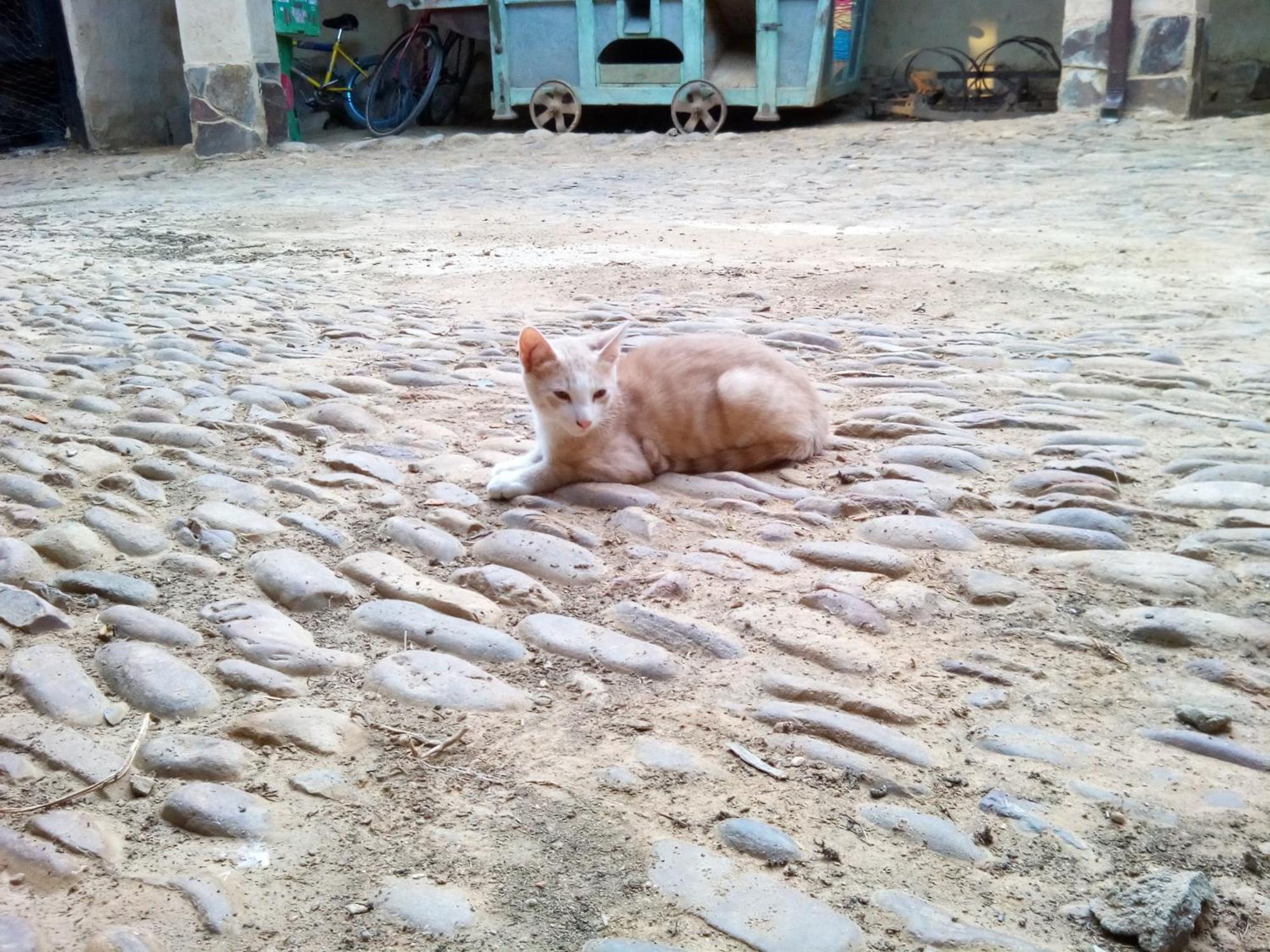 Casa Rural Abuela Tina Antonan del Valle 外观 照片